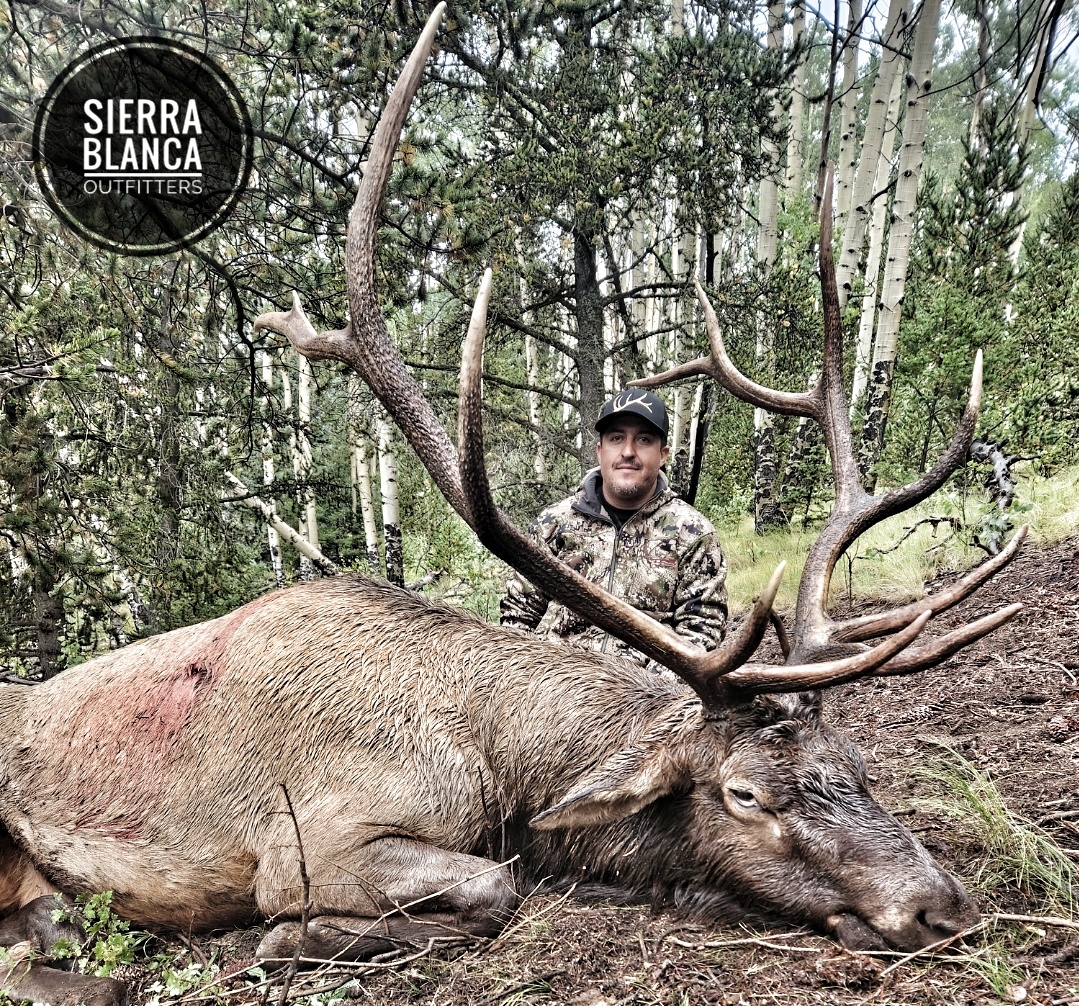 Elk Hunting Photo